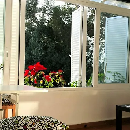 Appartement Casa Alegre